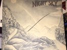 NIGHT SKY The Road That Takes Us Home PRIVATE RARE FOLK LP 1979 MICHAEL SOUTER