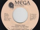 Modern Funk/Sweet Soul 45 - Dynamic Upsetters - Tricky Chic - Mega - mp3