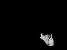 BOB MOSES - DAYS GONE BY NEW VINYL