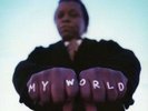 My World [VINYL] Lee Fields Vinyl