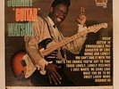 JOHNNY GUITAR WATSON RARE MONO LP Vinyl 1963 BLACK KING 857 HEAR R-1397