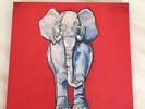 The White Stripes (Vault 19 Complete Box Set: Third Man Records) NEW