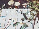 The Beat Of The Earth - This Record Is An Artistic Statement - New LP Reissue