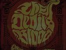THE DEVIL'S BLOOD - The Time of No Time Evermore  DLP
