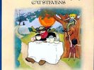 CAT STEVENS - TEA FOR THE TILLERMAN NEW VINYL