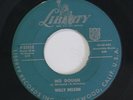 WILLY NELSON: No Dough / Susie 45 Country