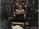 Grant Lee Buffalo Mighty Joe Moon vinyl LP album record UK 828541-1