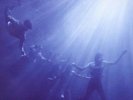 Total Life Forever - FOALS [LP]