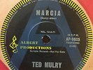 TED MULRY 7