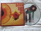 Kate Bush 'The Kick Inside' Limited Edition Rare 1st Issue  Picture Disc, 1978.