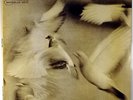 DONALD BYRD-FREE FORM-RECORD APPEARS UNPLAYED