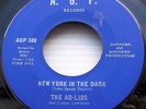 AD-LIBS New York In The Dark 1966 NORTHERN SOUL 45 on A.G.P b/w Human e2890