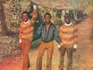 The Maytals(Vinyl LP)Monkey Man-Shakedown-SHAKELP 001-UK-2001-M/M