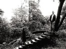 TIMBER TIMBRE-TIMBER TIMBRE (LTD.COLOUR REPRESS+MP3)-VINYL LP FULL TIME HOB NEU