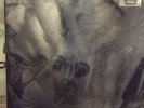 BLACK MOTH SUPER RAINBOW Eating Us Deluxe Ed. Limited OOP Graveface Creepoid