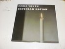 SONIC YOUTH - DAYDREAM NATION - ORIG 2 LP GATEFOLD 1988 TORSO RECORDS W/POSTER