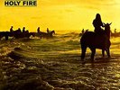 Foals - Holy Fire - NEW SEALED VINYL LP RECORD 2013