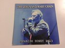 The Jesus And Mary Chain - Spanish Honey 2013 7
