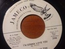 Northern Soul Edward Hamilton & The fifes Jameco Wldj Call Me/I'm Gonna Love You