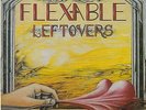 STEVE VAI * FLEXABLE LEFTOVERS * USA 10