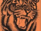 Don't Touch Me There Tygers Of Pan Tang UK 7