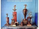 Bleed American - JIMMY EAT WORLD [LP]