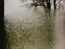 BON IVER FOR EMMA FOREVER AGO LP VINYL NEW 33RPM 2008