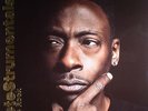 ROCK, Pete - Petestrumentals 2 - Vinyl (gatefold 2xLP + MP3 download code)