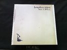 Babyshambles Down In Albion LP Reissue Neu