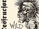 Destructors Wild Thing. Vinyl Single 12inch NEAR MINT Illuminated