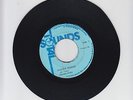 TOTAL SOUNDS/HIGHER RANGE (REGGAE RHYTHM)  -  HORACE ANDY (77  REGGAE ROOTS 7