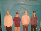 Weezer Blue Album LP 180g Vinyl MFSL NEW