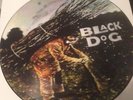 LED ZEPPELIN - BLACK DOG  12
