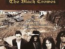 Black Crowes -The Southern Harmony And Musical Companion (Vinyl / Album) (New)
