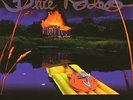BLUE RODEO**FIVE DAYS IN JULY (GATEFOLD)**2 VINYL SET