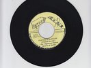 DANGER ZONE/SLAVING IN BABYLON  -  THE RIGHTEOUS FLAMES  (75  REGGAE ROOTS 7