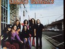 MOFI MFSL 1-400   LYNYRD SKYNYRD: PRONOUNCED LEH-NERD 'SKIN-NERD   NM CONDITION