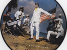 MADNESS-UNCLE SAM-RARE **PICTURE DISC**