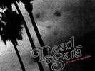 DEAD SARA - PLEASURE TO MEET YOU (GATE) NEW VINYL