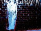 Book Burner [VINYL] Pig Destroyer Vinyl