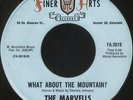 MARVELLS What About The Mountain Finer Arts 2019 Northern Soul 45 VG++