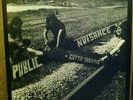 PUBLIC NUISANCE 'Gotta Survive LP Third Man Moss and Rocks LOVE back from grave