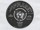 THE UNTAMED-IT'S NOT TRUE-PLANET.