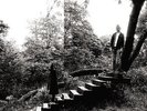 Timber Timbre-Timber Timbre VINYL NEW