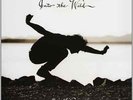 Eddie Vedder-Into The Wild - Ost Vinyl / 12