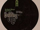 PARRISH, Theo - Falling Up (remixes) - Vinyl (double 12