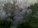 Wolves in the throne room Celestite vinyl lp