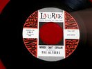 ALTEERS WORDS CAN'T EXPLAIN NEAR MINT  A MONSTER RARE PROMO LAURIE  DOO WOP 45