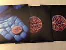 COLDPLAY The Blue Room E.P. Two 7