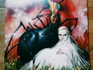 Circa Survive Appendage EP vinyl lp (used, very good)